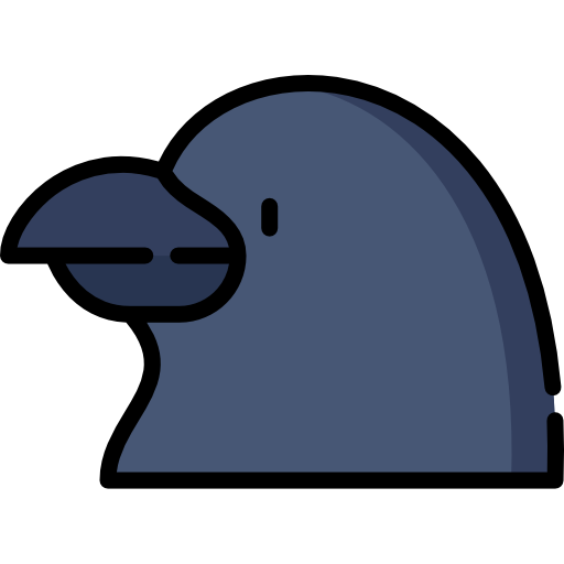 Raven Logo